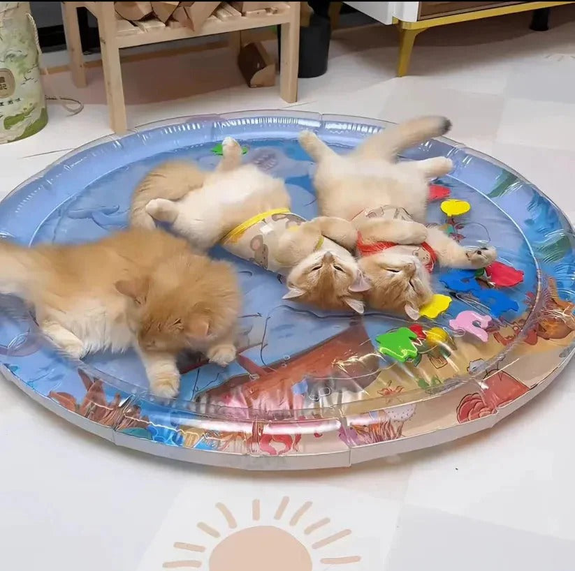 Happy Play Mat For Cat & Dog (scratch proof)