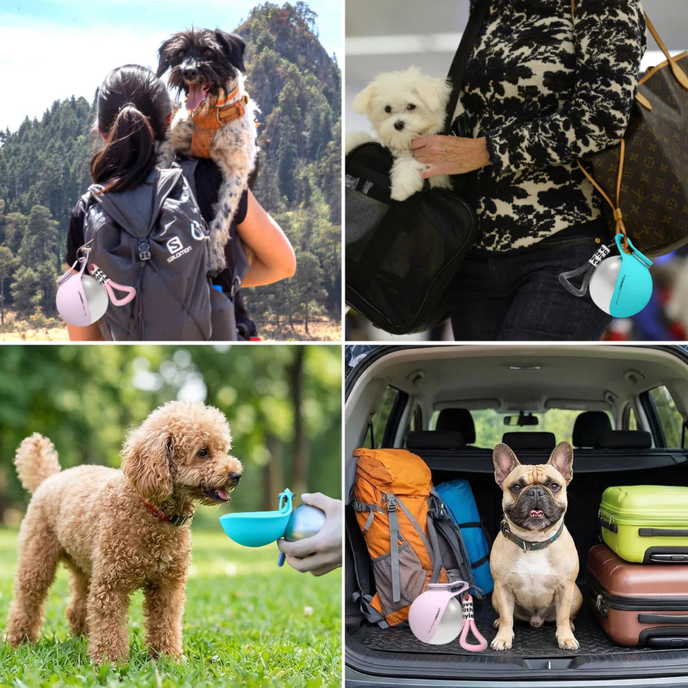 Water bottle For Pets