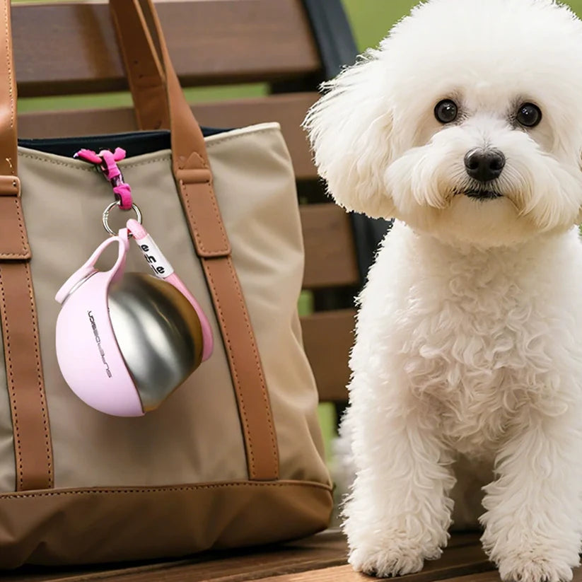Water bottle For Pets