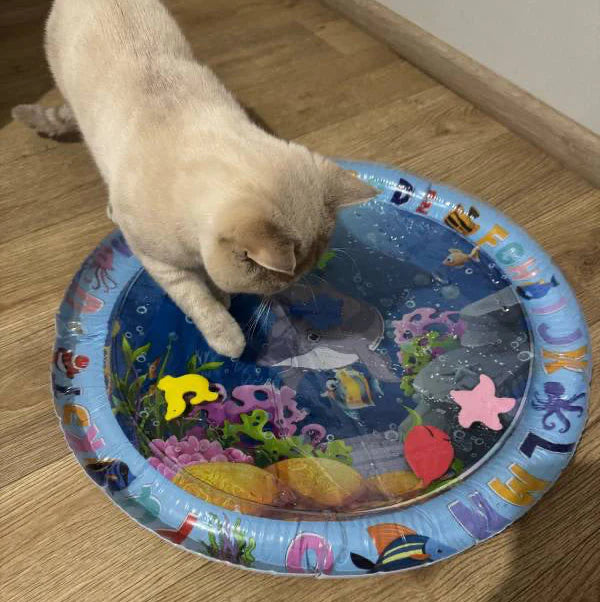 Happy Play Mat For Cat & Dog (scratch proof)